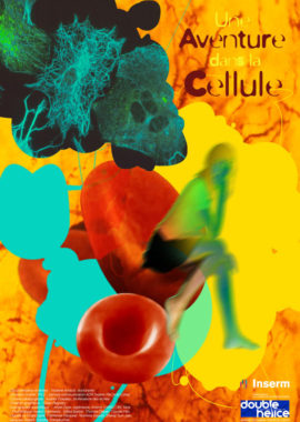 Une Aventure dans la Cellule
