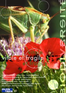 Biodiversité, vitale et fragile