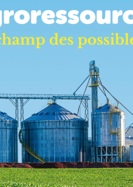 Agroressources, le champ des possibles