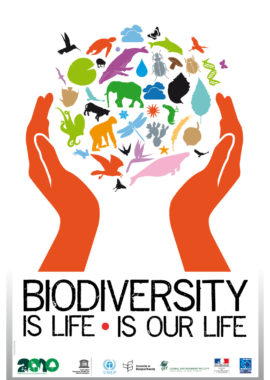 Biodiversité c’est la vie, c’est notre vie