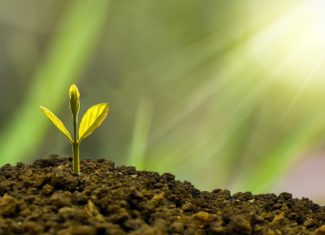 Agroressources à Jonchery sur Vesle
