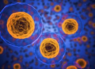 Séminaire du Laboratoire de recherche en nanotechnologie / URCA